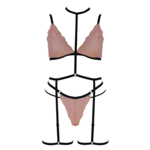 Dust pink, lace bralette and g-string shown with full body, elastic harness that wraps has band around neck, waist and each thigh. Shown on white background.