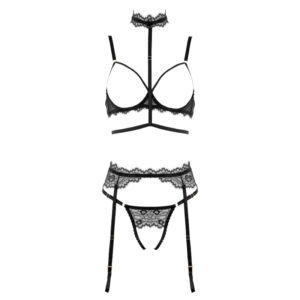 4 piece black lace and elastic lingerie set with garter belt, neck to waist harness, cupless bra and crotchless g-string. Shown on white background.