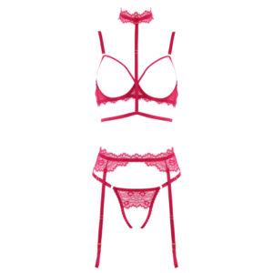 4 piece red lace and elastic lingerie set with garter belt, neck to waist harness, cupless bra and crotchless g-string. Shown on white background.